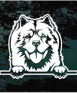 Chow Dog Peeking Decal Sticker
