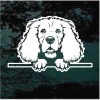 Cocker spaniel peeking Decal Sticker