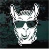 Llama cool decal sticker