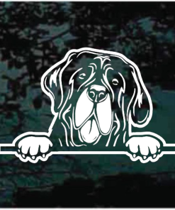 English Mastiff Peeking Decal Sticker