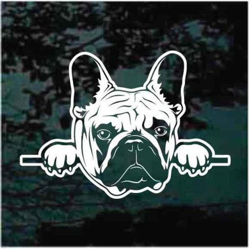 French Bulldog peeking dog Decal Sticker