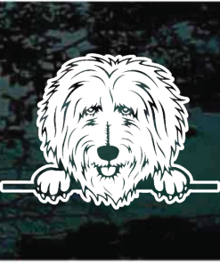 Goldendoodle Peeking Decal Sticker