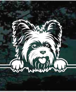 Yorkie Peeking Decal Sticker