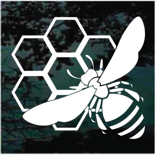 Honeybee hive honeycomb decal sticker