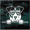 Jack Russell Terrier Peeking Decal Sticker