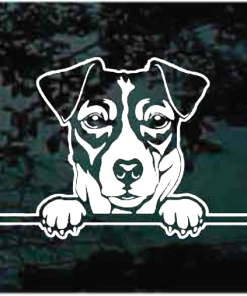 Jack Russell Terrier Peeking Decal Sticker