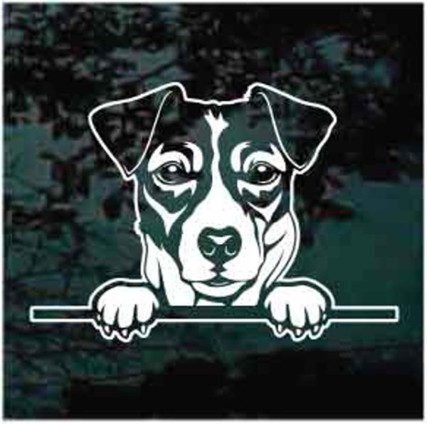Jack Russell Terrier Peeking Dog Decal Sticker