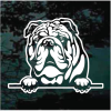 English Bulldog Head Decal Sticker