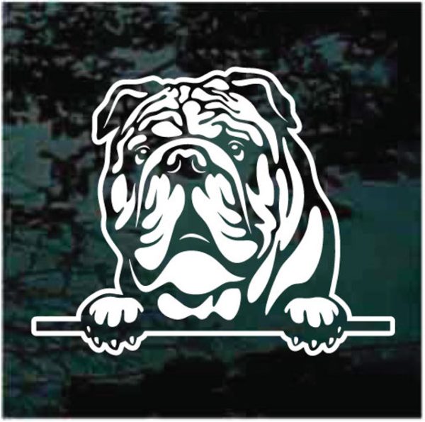 English Bulldog Head Dog Decal Sticker