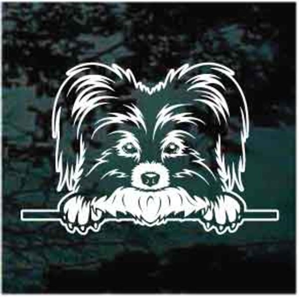 Papillon Peeking Dog Decal Sticker