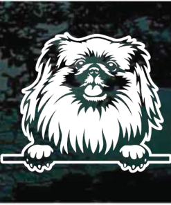 Pekingese Peeking Decal Sticker