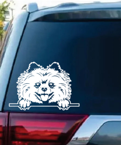 Pomeranian peeking Decal Sticker