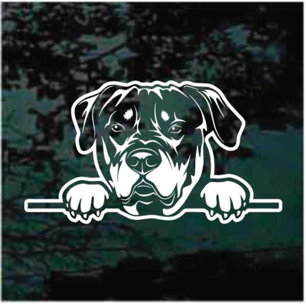 Rottweiler Peeking Dog Decal Sticker