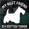 My Best Friend is a Scottish Terrier
