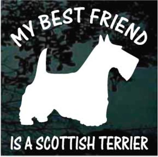 My Best Friend is a Scottish Terrier