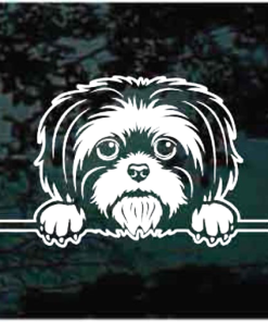 Shih Tzu Peeking Decal Sticker