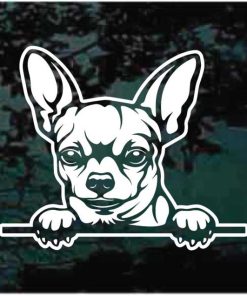 Chihuahua Peeking Dog Decal Sticker