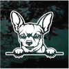 Chihuahua Peeking Decal Sticker