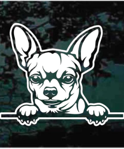 Chihuahua Peeking Decal Sticker