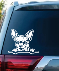 Chihuahua Peeking Decal Sticker