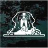 St Bernard Peeking Dog Decal Sticker