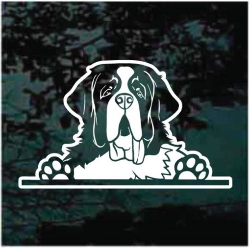 St Bernard Peeking Dog Decal Sticker
