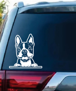 Boston Terrier Peeking Decal Sticker