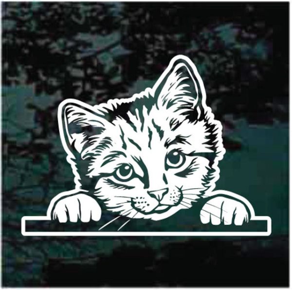 Kitten peeking window decal sticker for cars and trucks
