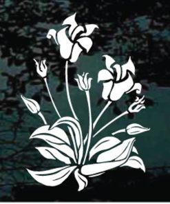 Lily Plant Flower decal sticker for cars and trucks