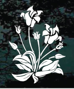 Lily Plant Flower decal Sticker