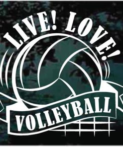 Live Love Volleyball Decal Sticker for cars and trucks