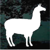 Llama decal Sticker