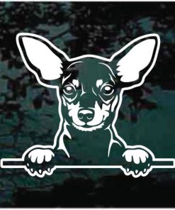Miniature Pinscher Peeking Dog decal sticker for cars and trucks