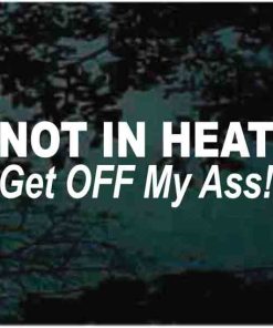 Not in Heat get off my ass window decal sticker