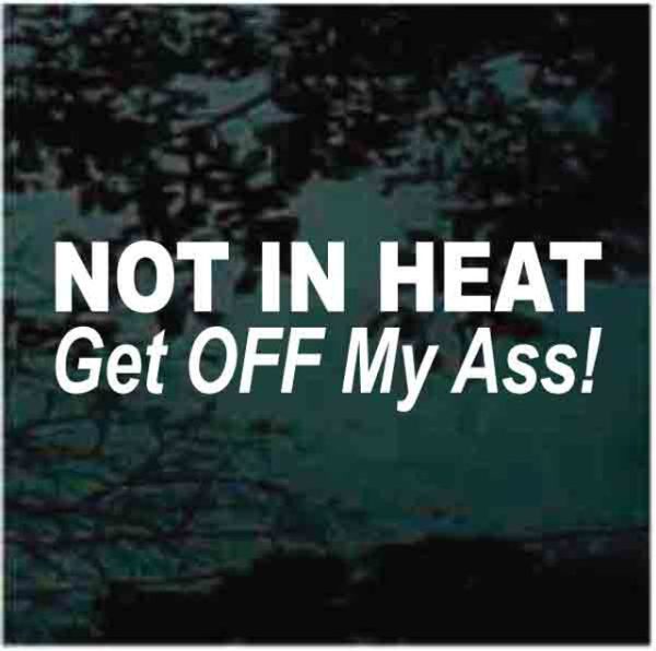 Not in Heat get off my ass window decal sticker