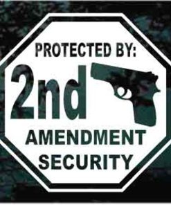 Protected by 2nd amendment stop sign decal sticker for cars and trucks