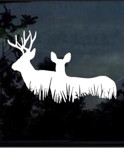 Buck Doe Deer Hunting Window Decal Sticker
