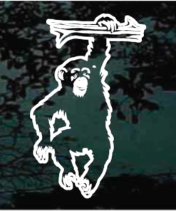 Chimpanzee chimp hanging window decal Sticker