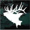 Elk Head solid hunting decal sticker for cars and trucks