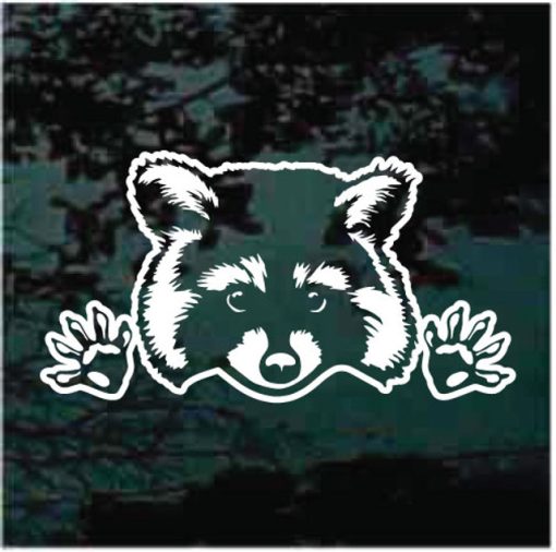 Raccoon Peeking decal sticker for cars and trucks