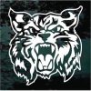 Wildcat growling window decal sticker for cars and trucks