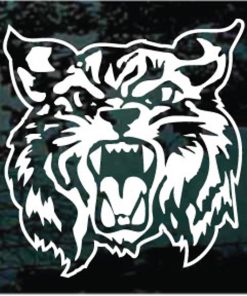 Wildcat growling window decal sticker for cars and trucks