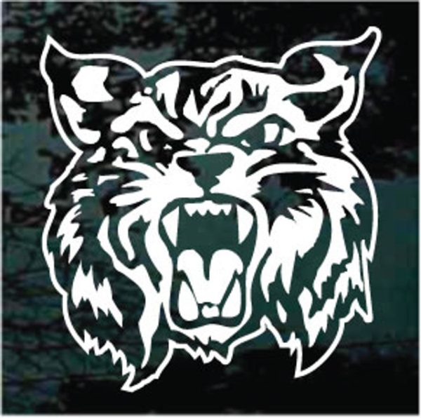 Wildcat growling window decal sticker for cars and trucks