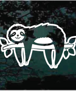 cute sloth on branch window decal Sticker