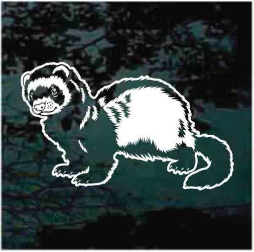 ferret window decal sticker for cars and trucks