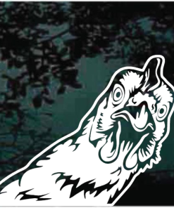 chicken peeking funny window decal Sticker