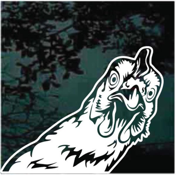 chicken peeking funny window decal sticker for cars and trucks