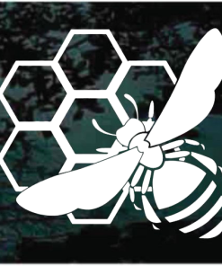 Honey Bee comb window decal Sticker