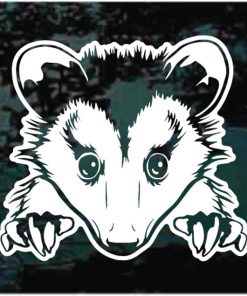 opossum possum window decal sticker for cars and trucks
