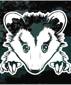 opossum possum window decal Sticker